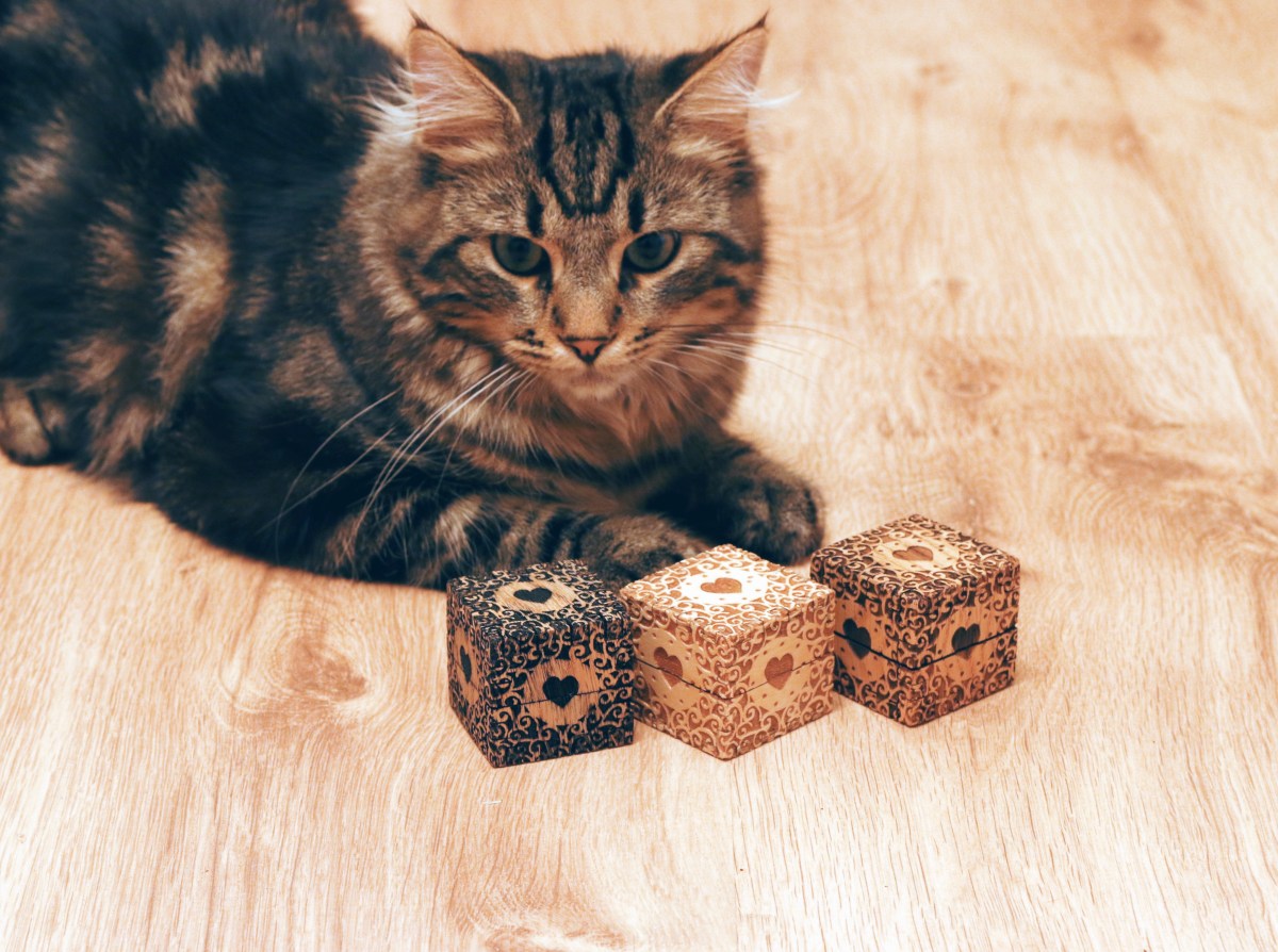 Pässu and boxes