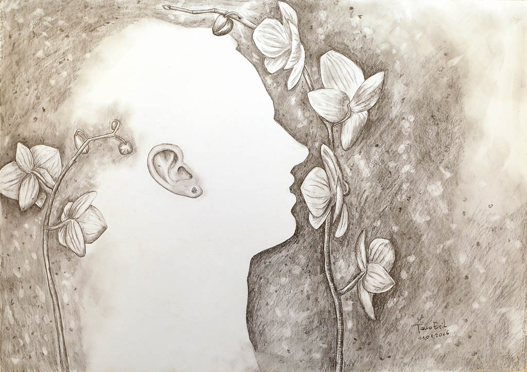 Learning again to draw