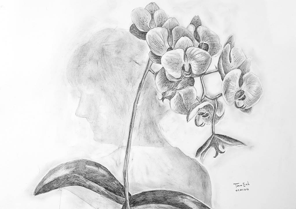 Drawing lesson three