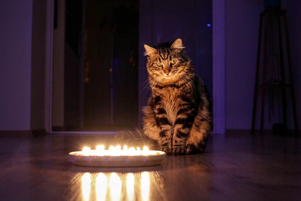 Soul of light and warmth of heart to the world