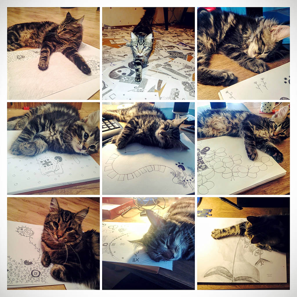 Kitty and drawings