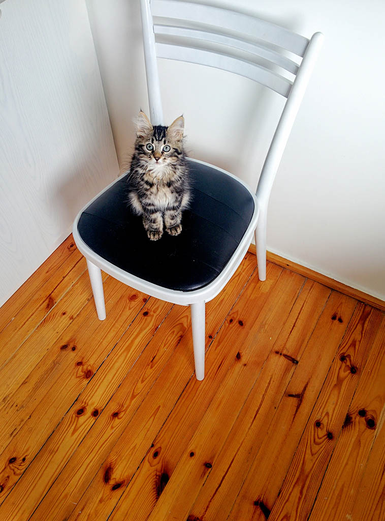 It's hard to believe, to me, than just a half year ago was he so small