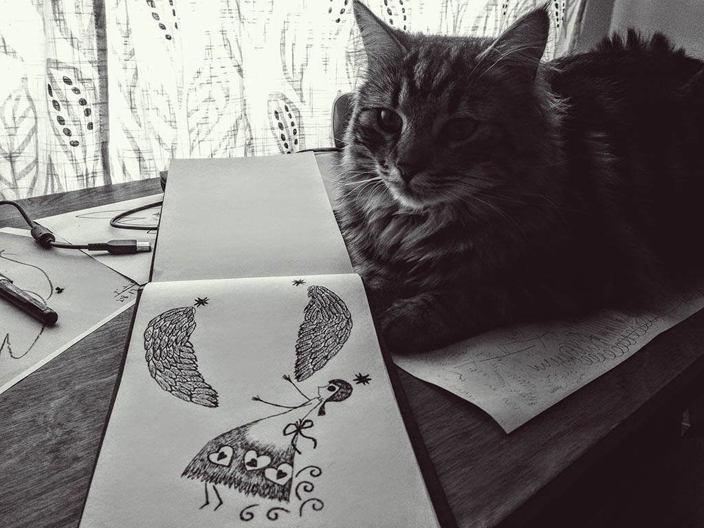 To finish the week .. a one picture of my cat