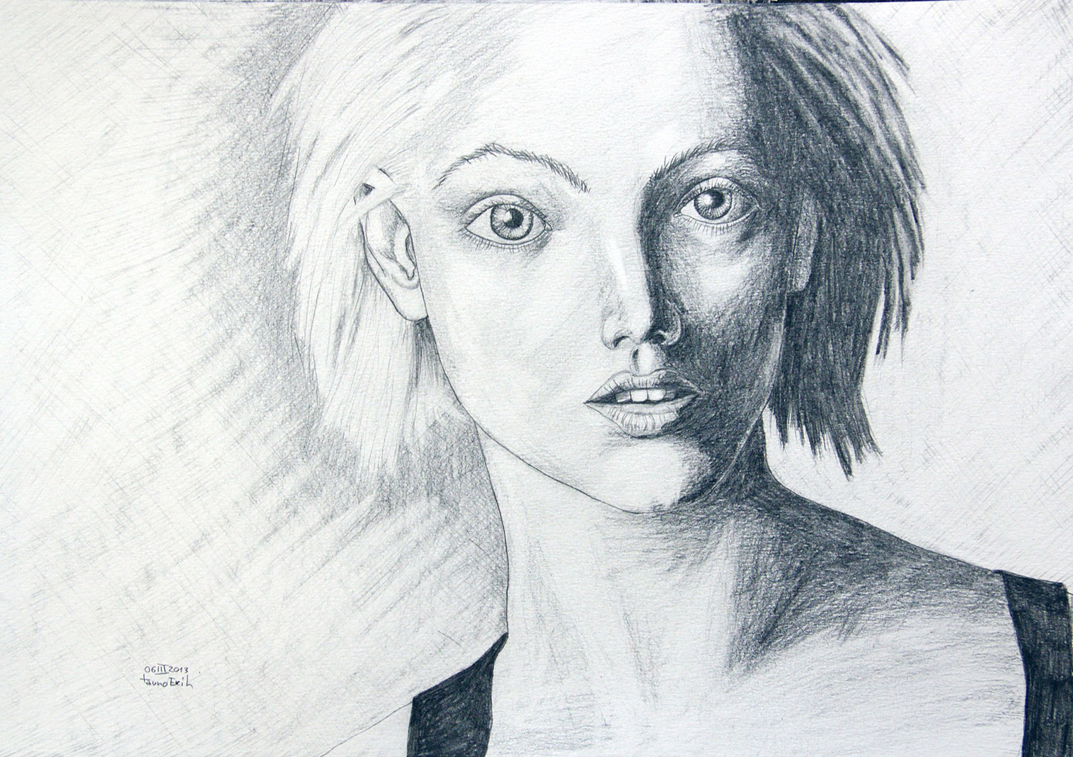 The dark side of the face. Tauno Erik