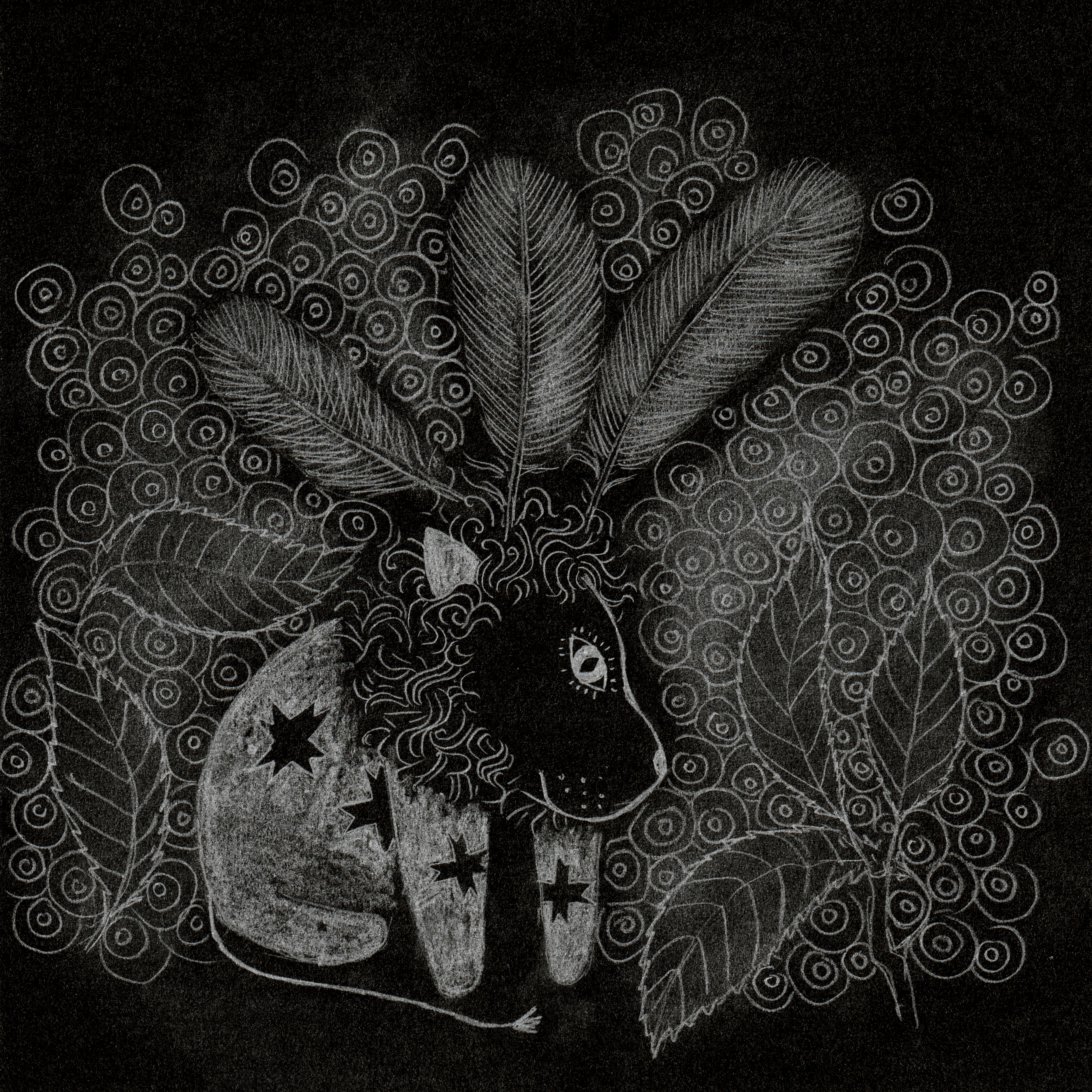 Feathers on the head