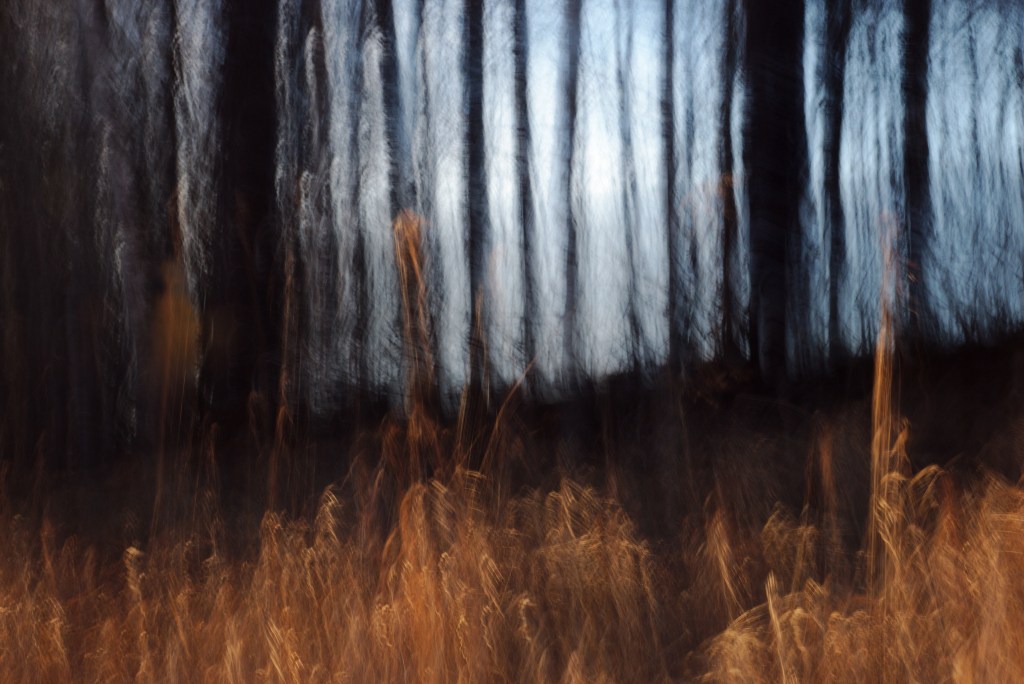 Tuli. Photo Tauno Erik