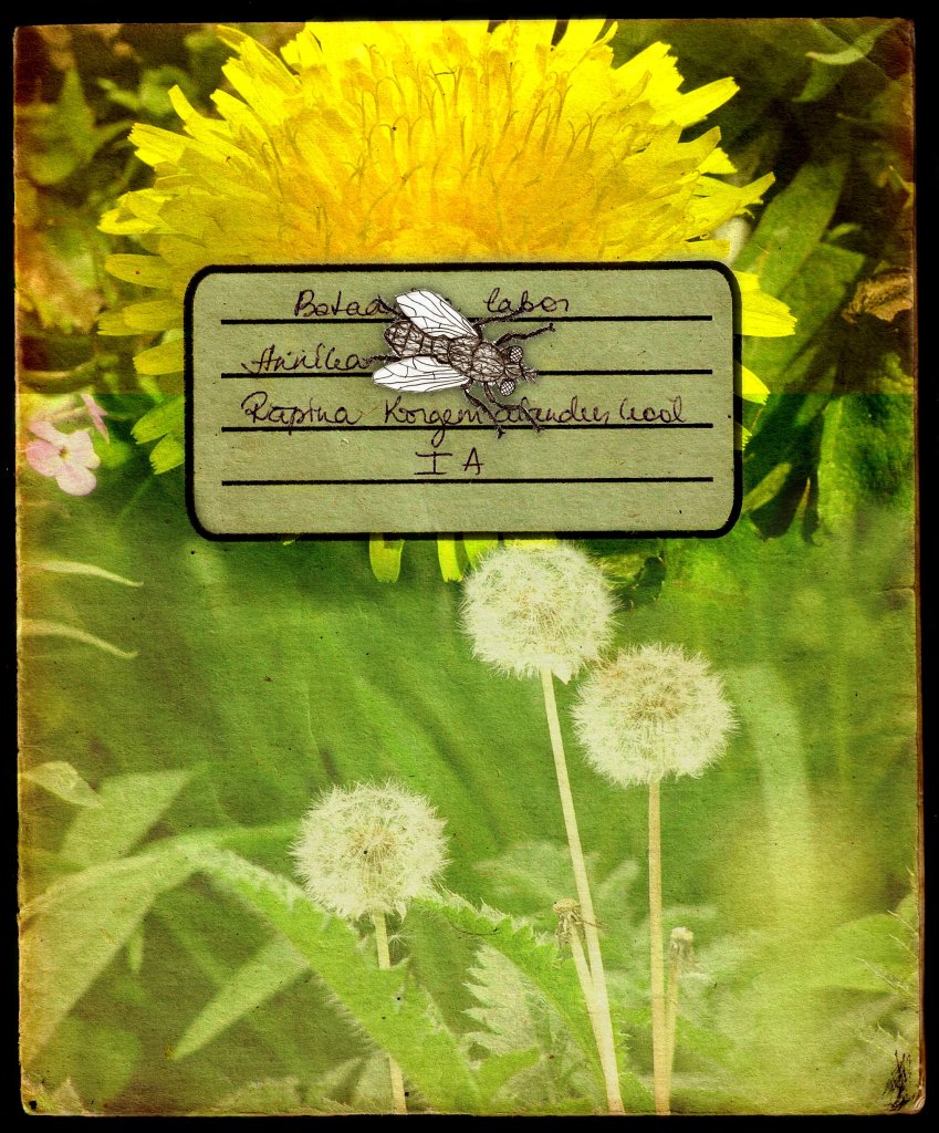 Botaanika labor. Photo Tauno Erik