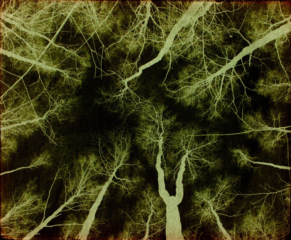 Öö. Image: Tauno Erik