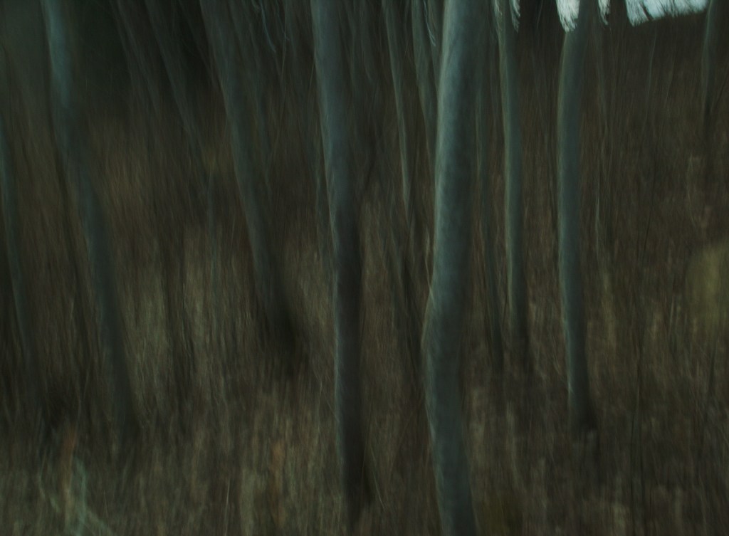 Ei leia valgust. Photo Tauno Erik