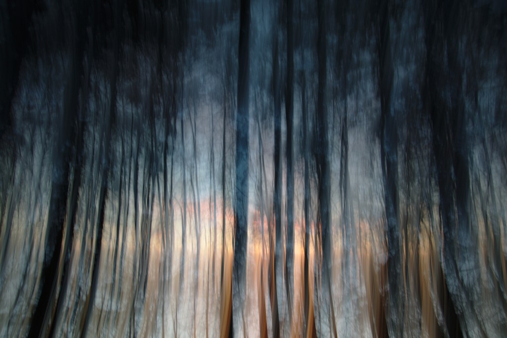 Ei maga. Photo Tauno erik