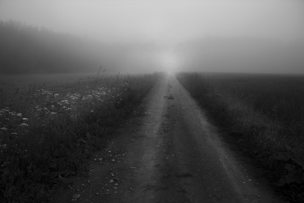 Helge tulevik. Photo Tauno Erik