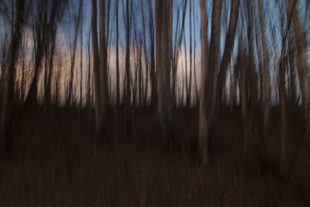 Identiteet. Photo Tauno Erik