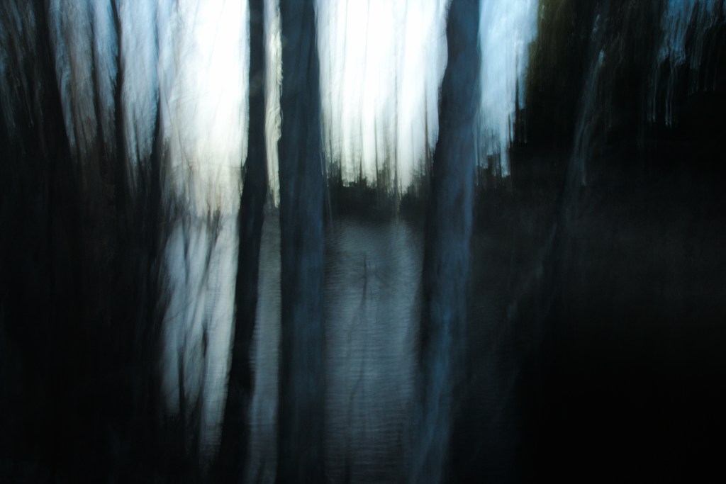 Sinine. Photo Tauno Erik