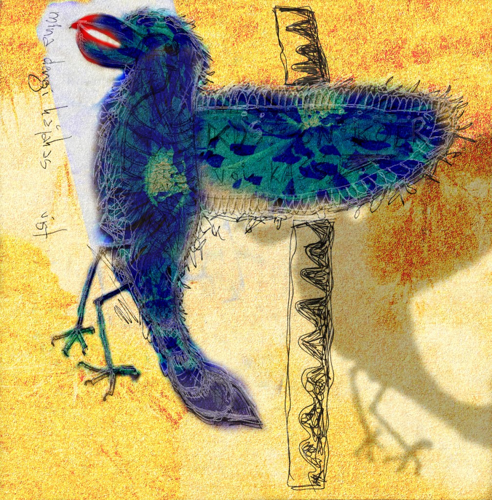 Kajakas, Photo Tauno Erik