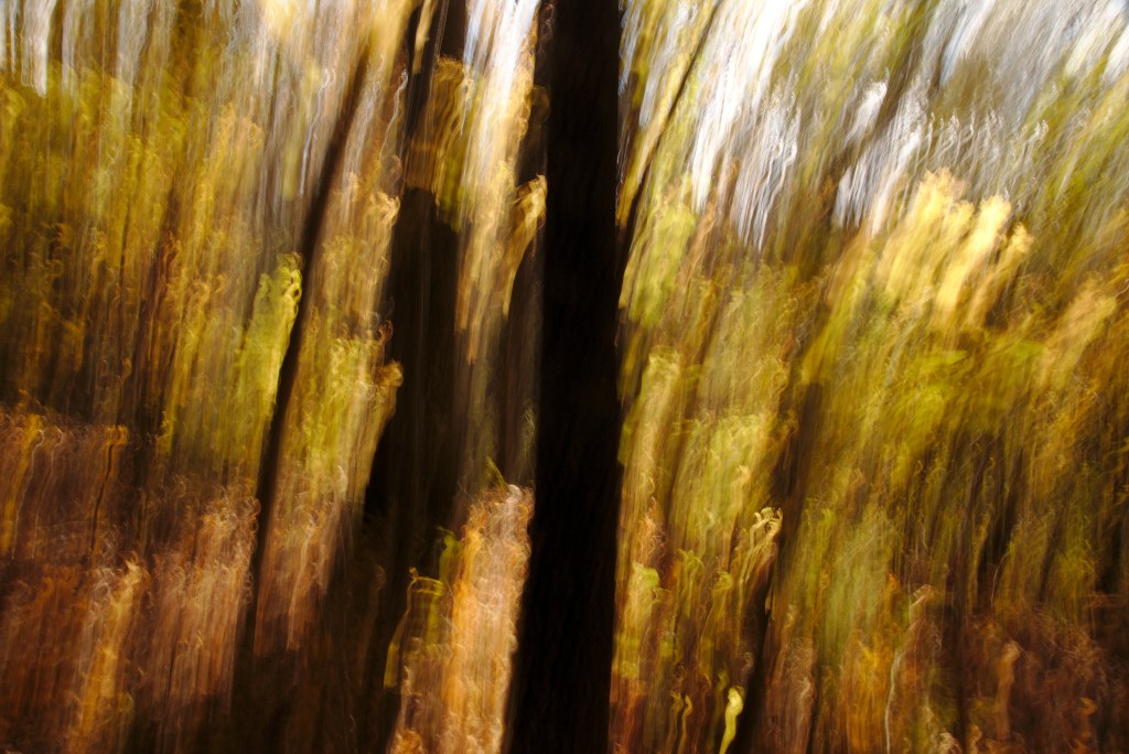 Kirg. Photo Tauno erik