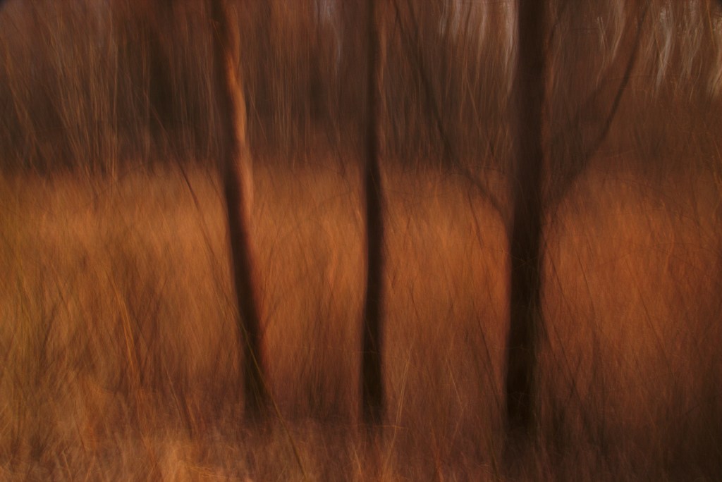 Väga soe. Photo Tauno Erik