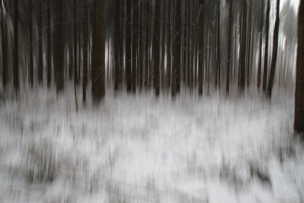 Lumi sajab. Photo Tauno Erik