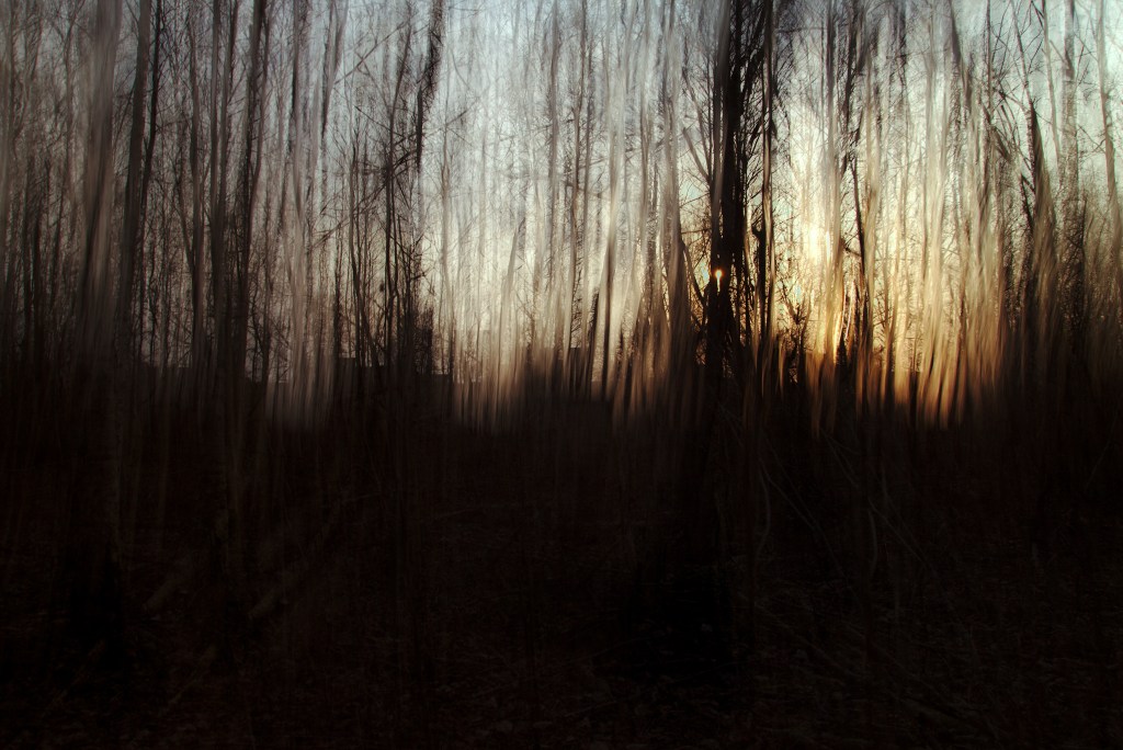 Kustutan. Photo Tauno Erik