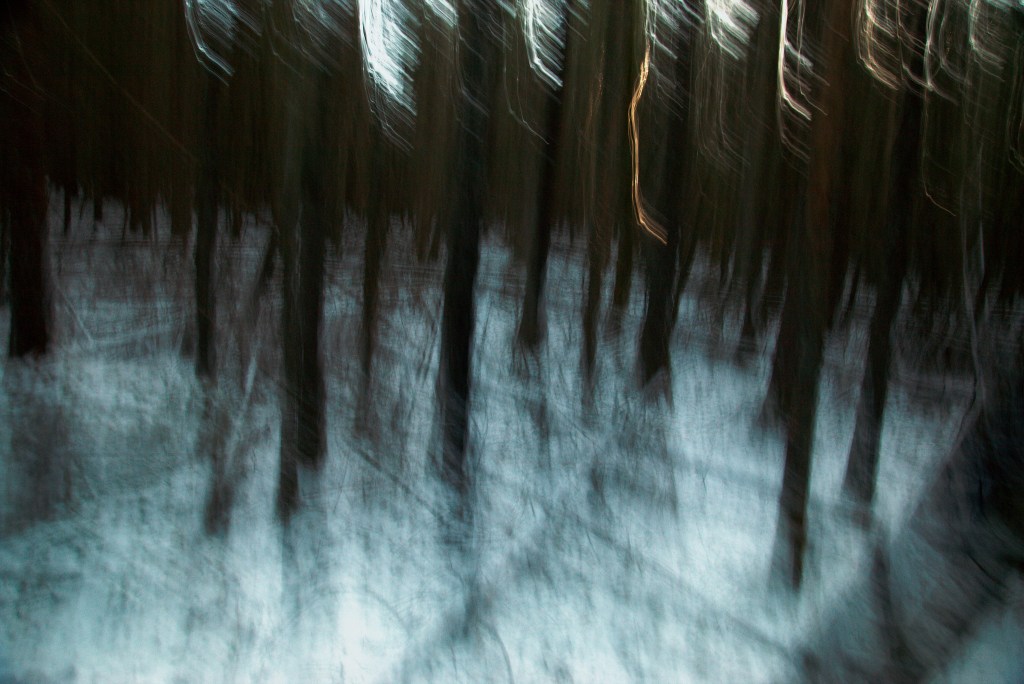 Mõtetemets. Photo Tauno Erik