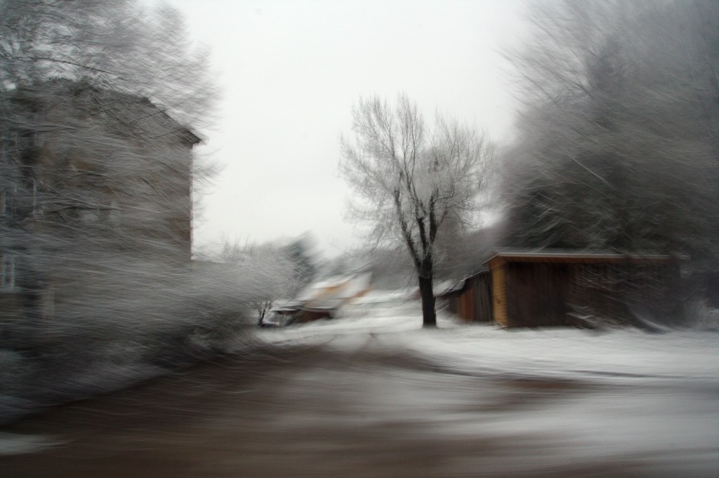 Must puu. Photo: Tauno Erik