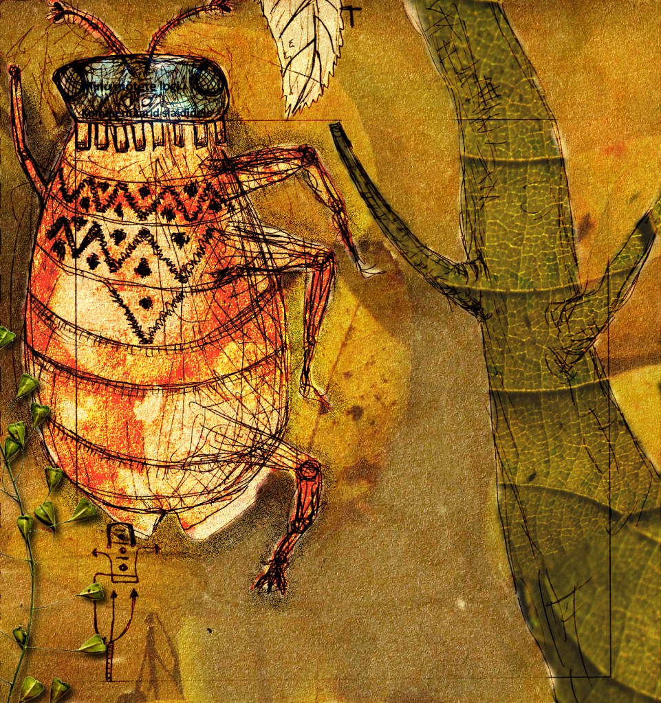 Põrnikas. Image Tauno Erik