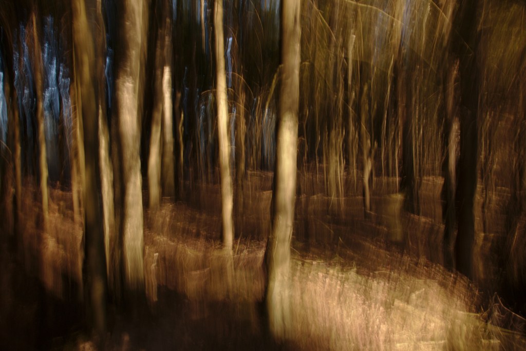 Päiksepaiste. Photo Tauno Erik