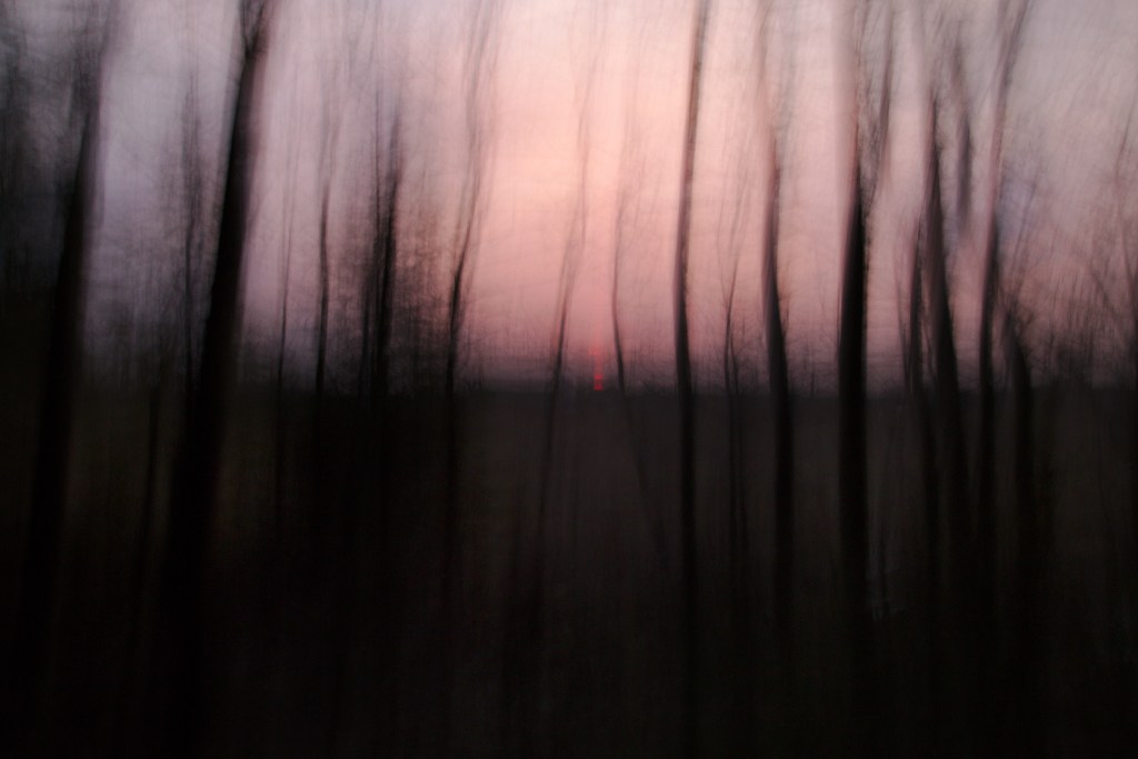 Roosa. Photo Tauno Erik