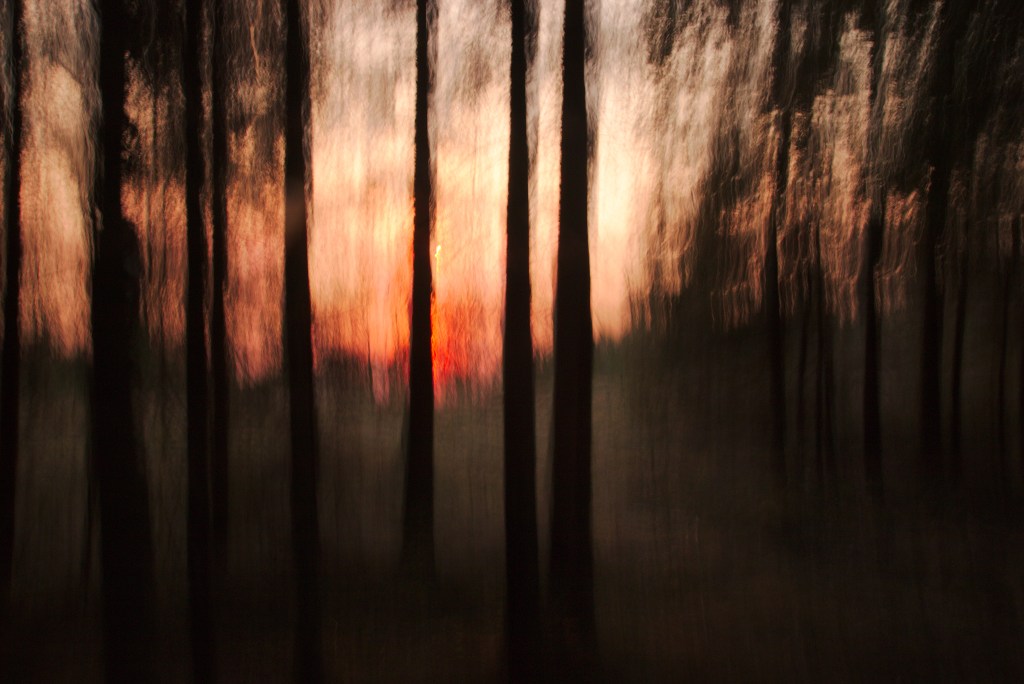 Veripunane. Photo Tauno Erik