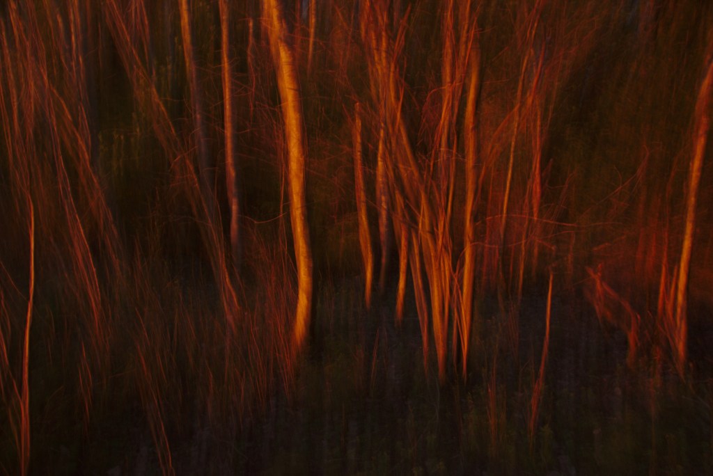 Põrgu. Photo Tauno Erik