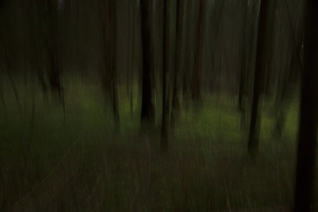 Metsalune. Photo Tauno Erik