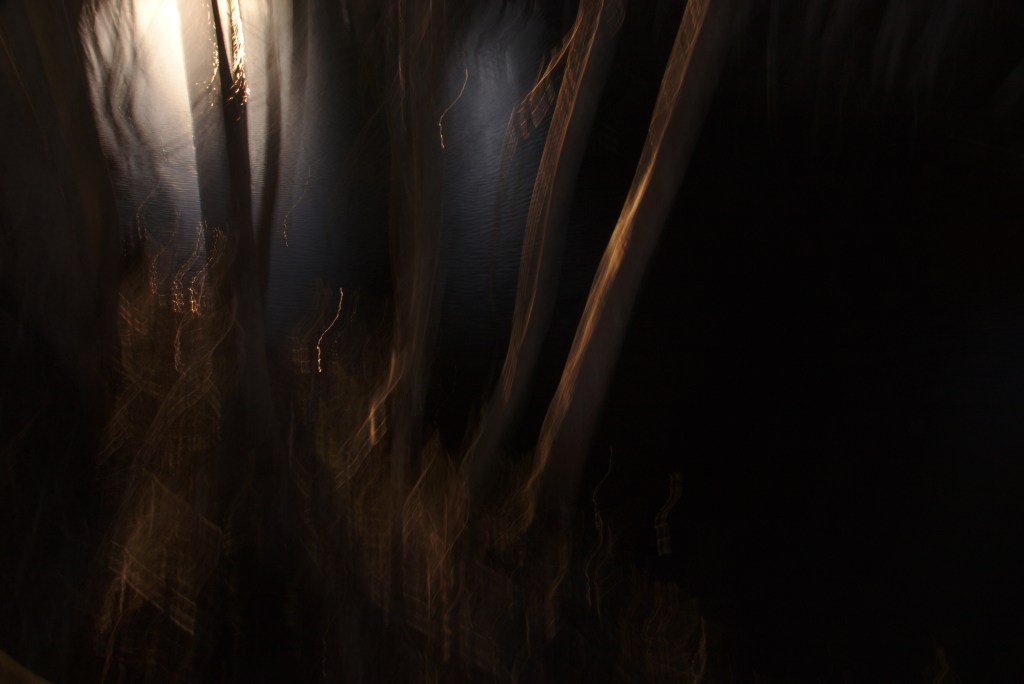 Satori. Photo Tauno Erik