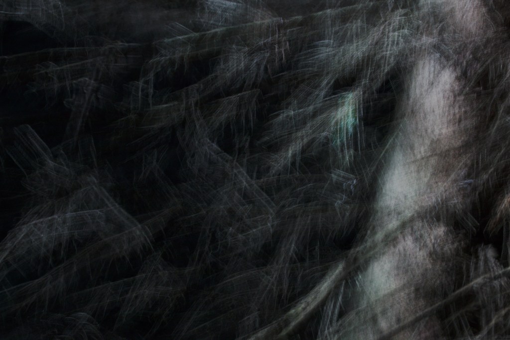 Okkad. Photo Tauno Erik