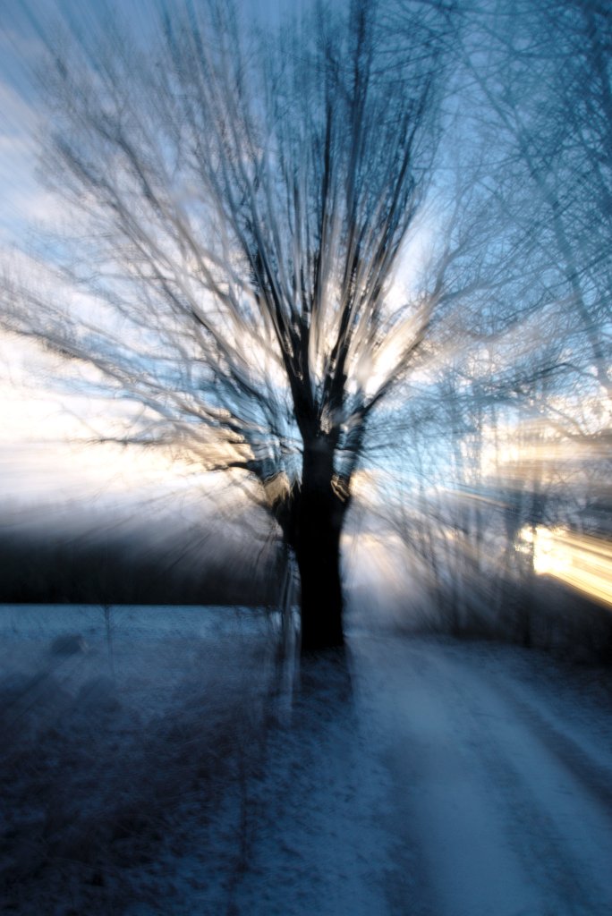 Sinine valgus. Photo Tauno Erik