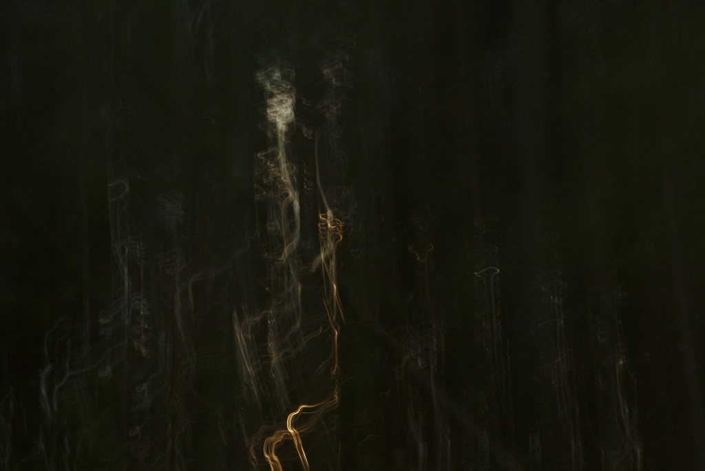 Suits. Photo Tauno Erik