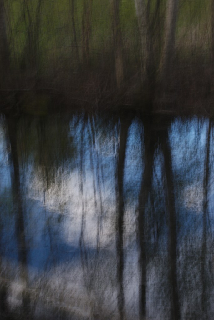 Taevavari. Photo Tauno Erik