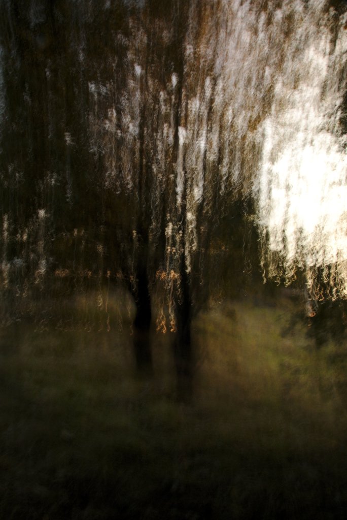 Taevas langeb alla. Photo Tauno Erik