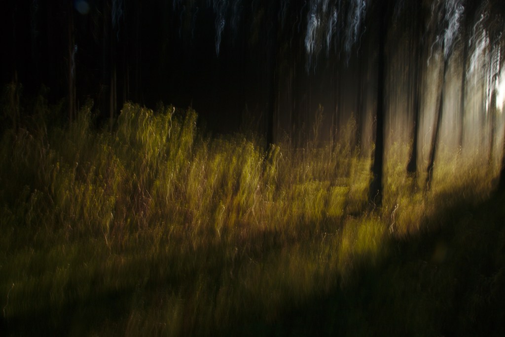 Tõusulaine. Photo Tauno Erik