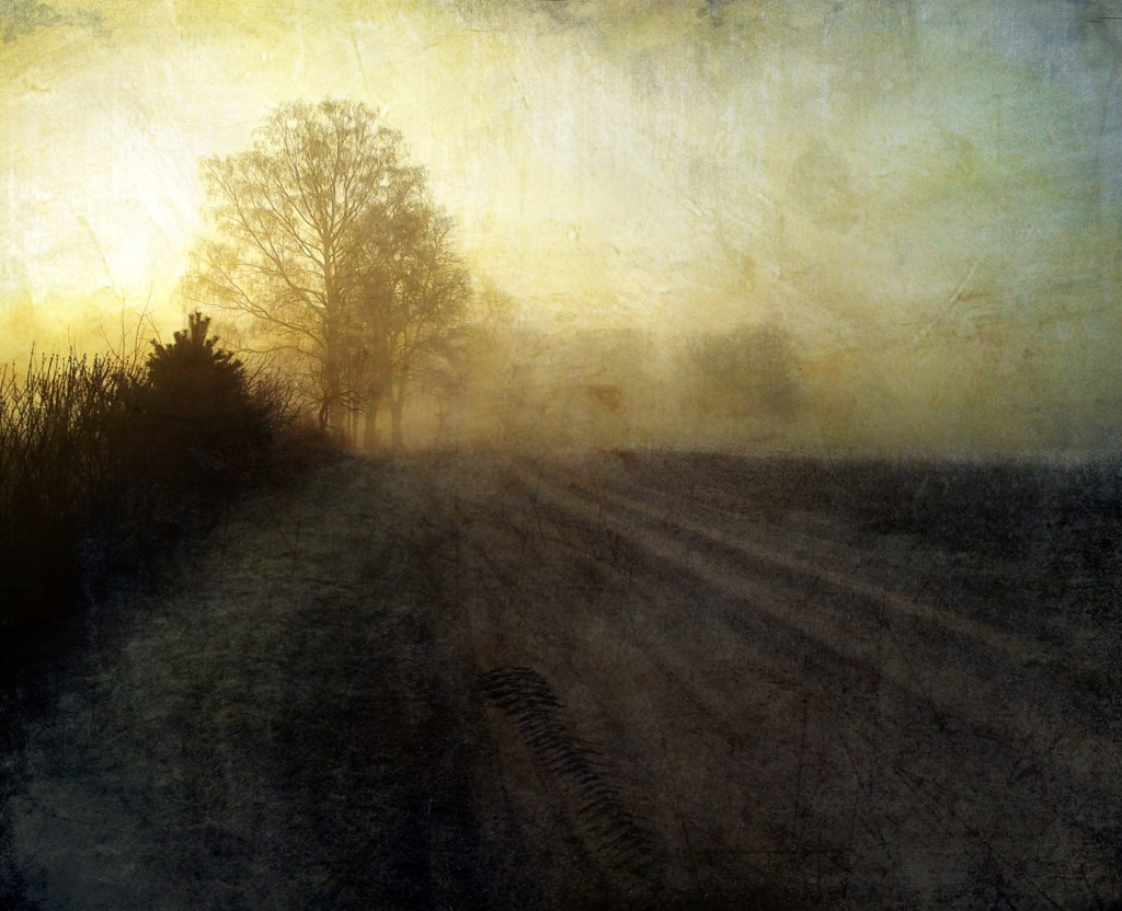 Kuldne hommik. Photo Tauno Erik