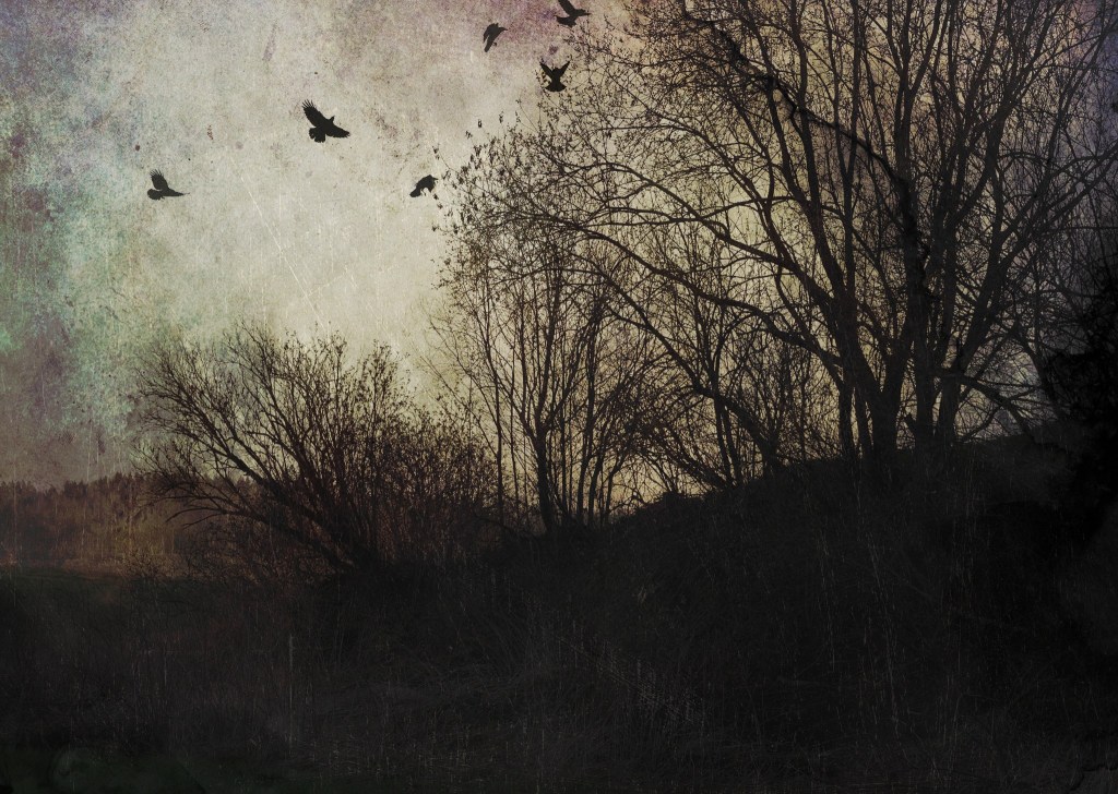 Sügis. Photo Tauno Erik