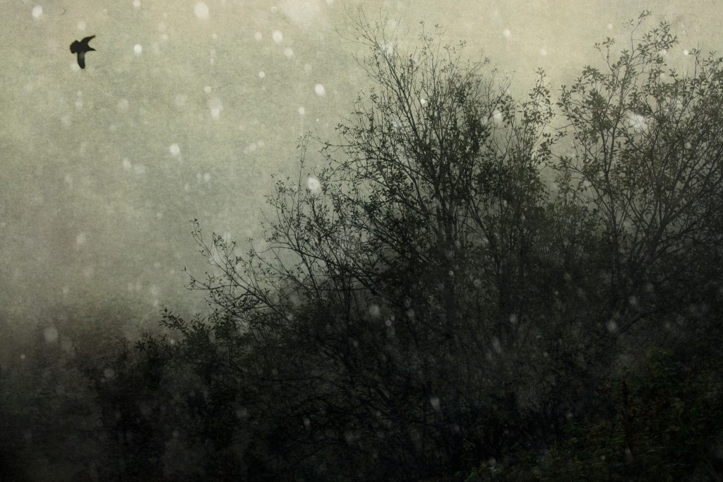 Roheline sügis. Photo Tauno Erik