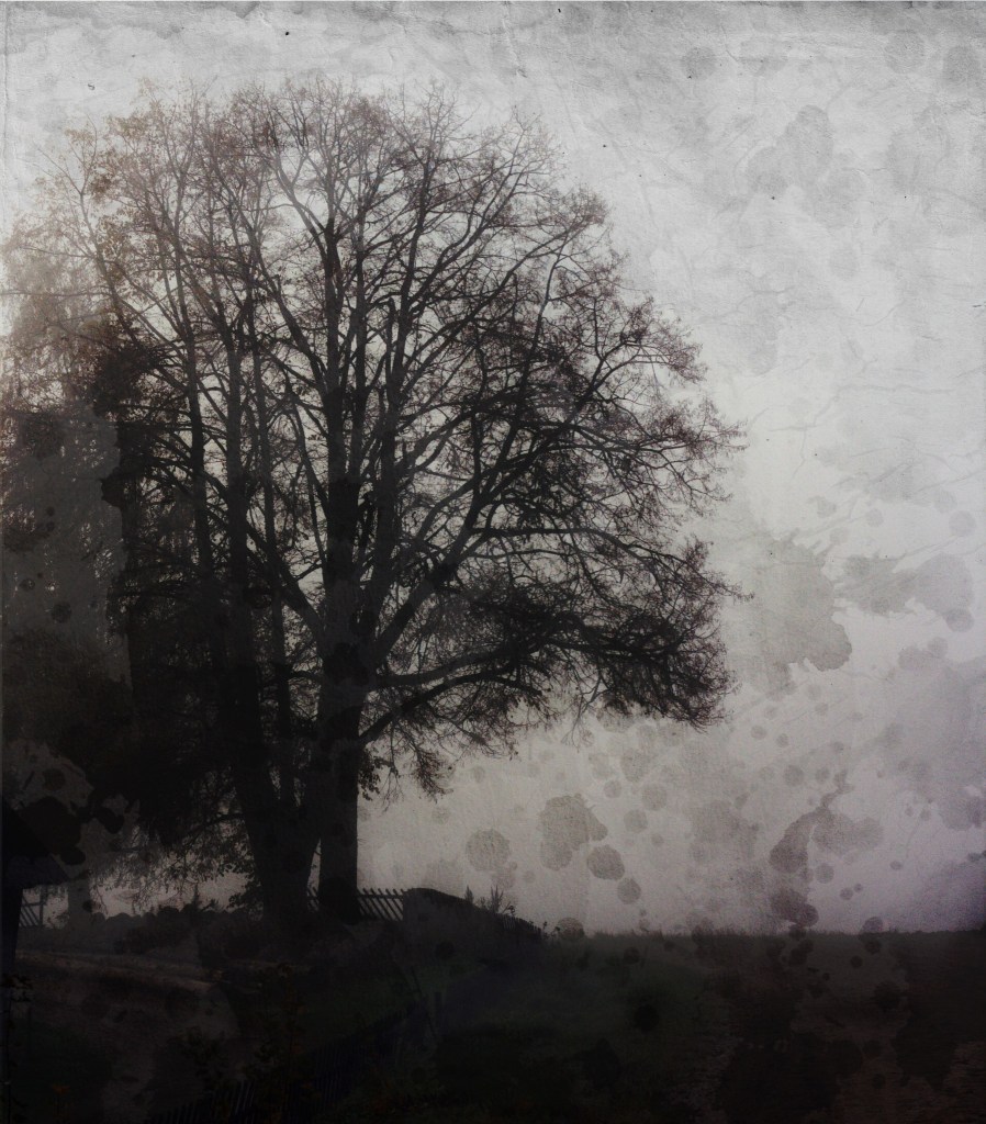 Tati-Jaani. Photo Tauno Erik