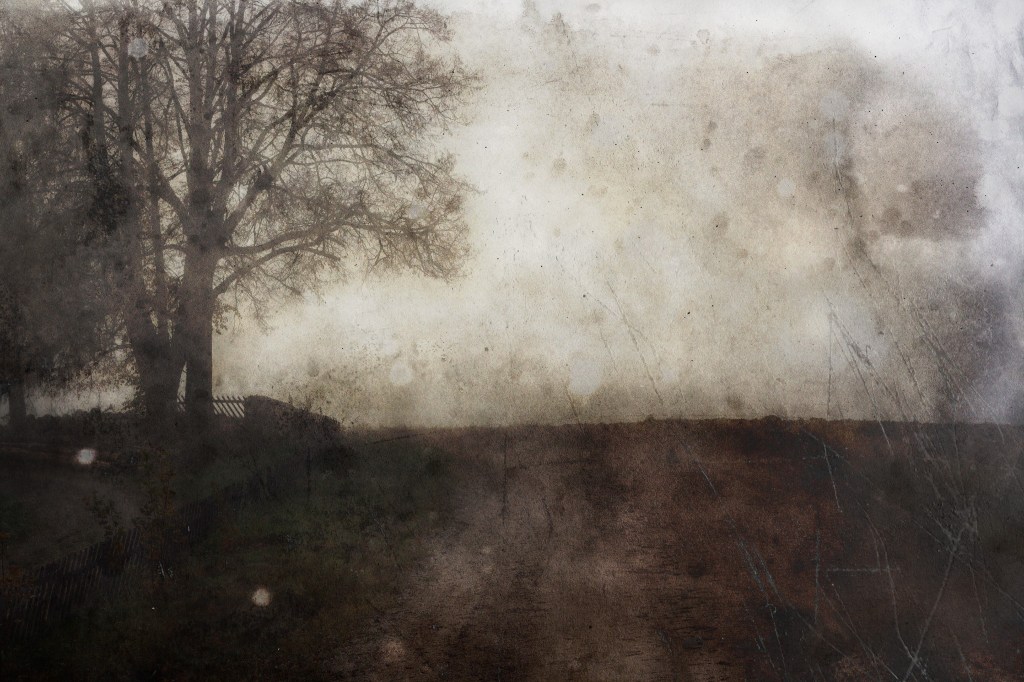 Teel. Photo Tauno Erik