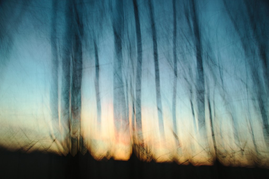 Valgus. Photo Tauno Erik