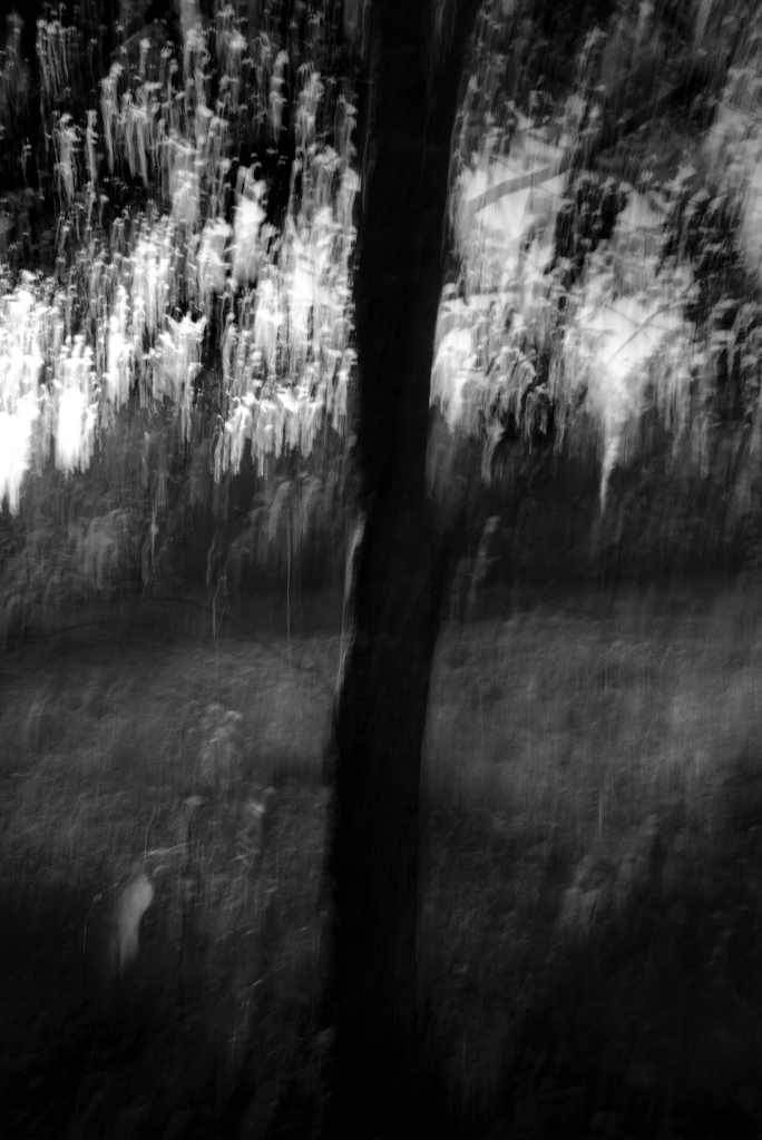 Vari. Photo Tauno Erik