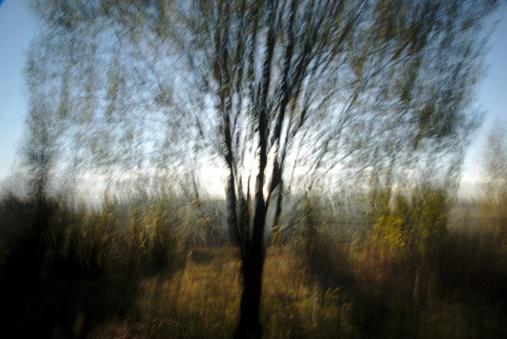 Kevadine. Photo Tauno Erik