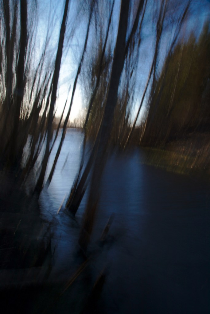 Vesi ja puud. Photo Tauno Erik