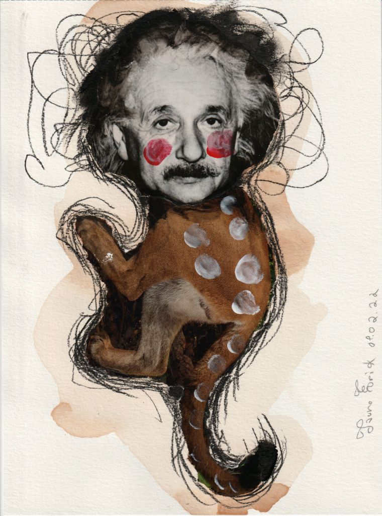 Spider , Tauno Erik, 2022