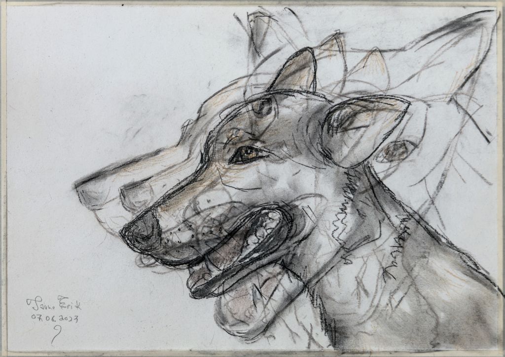 Liikuv koer, Tauno Erik, 2023