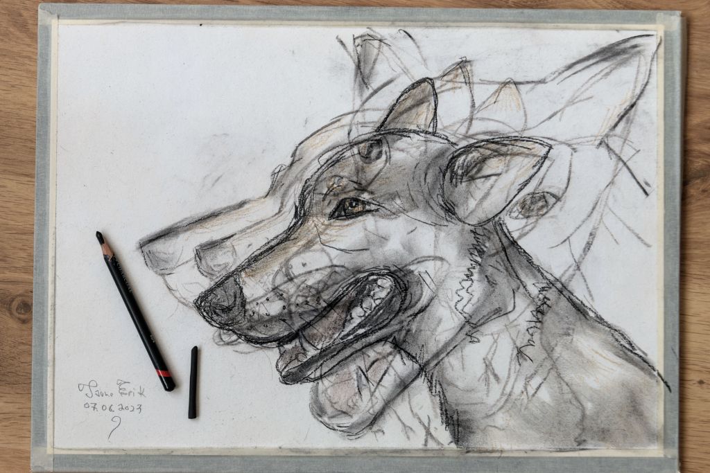 Liikuv koer, Tauno Erik, 2023