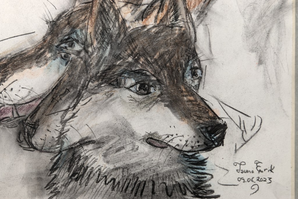 Dog, Tauno Erik, 2023